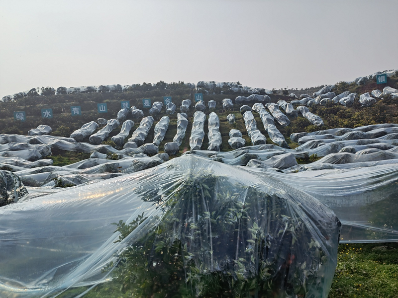 1642669522787957.png 9.png