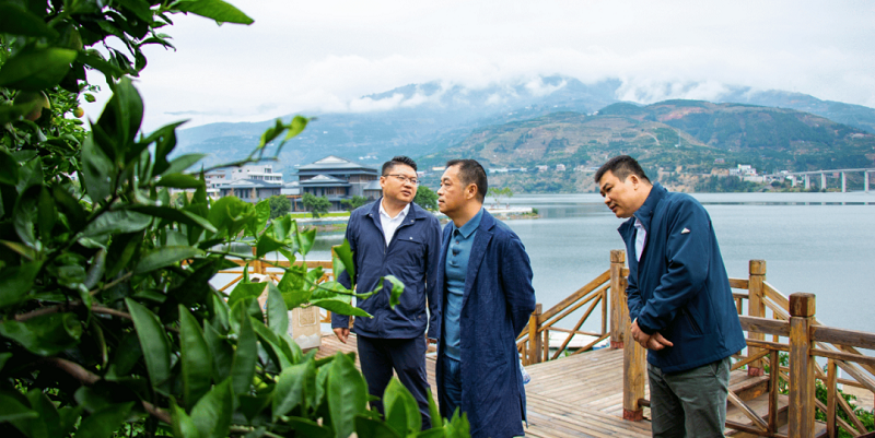 1698992113559009.png 圖片15.png