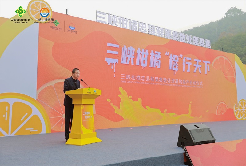 1703758893319524.jpg opq689263165.jpg