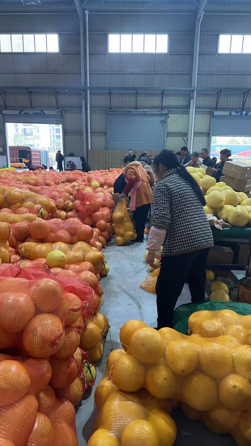 1711091351978324.png 圖片22.png