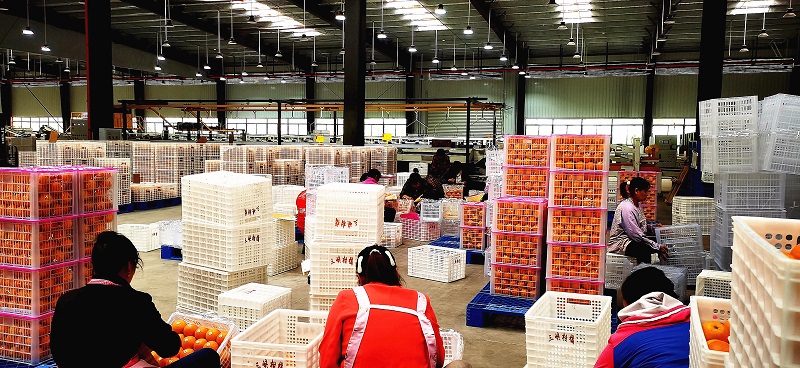 1717465399111117.jpg 微信圖片_20240603163729.jpg