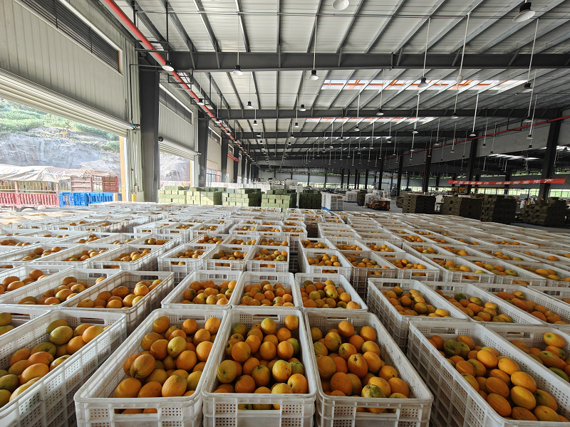 1747812383320506.png 圖片16.png